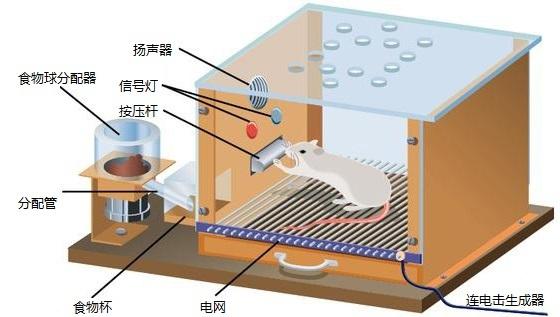 零食店的產(chǎn)品營銷策略需注重零食的本質(zhì)?